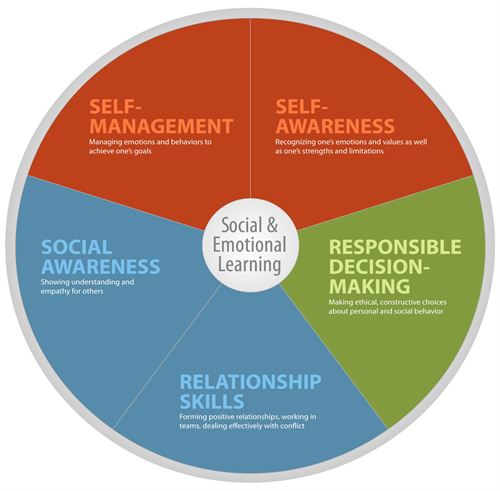 Graphic used for SEL wheel